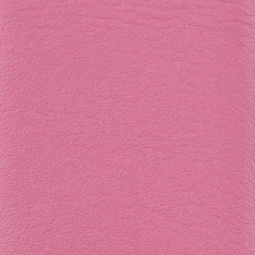 Farbe: Pink Farbe: Pink